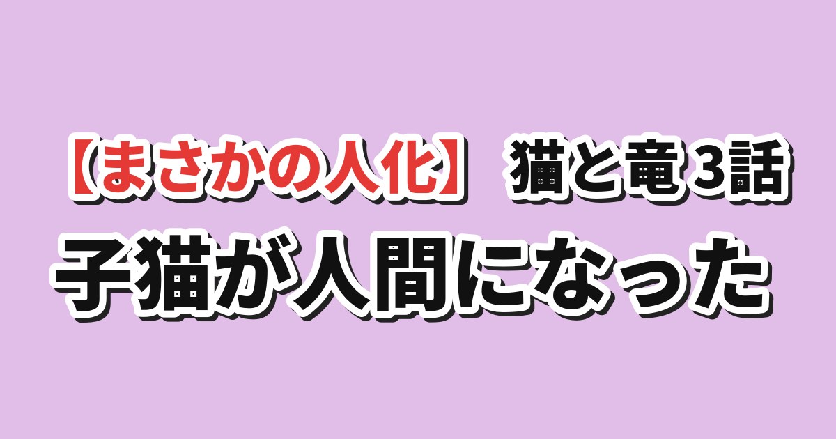 猫と竜 第3話 海外の反応